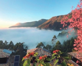 Inverno total. Pico da Caledônia registra temperaturas perto de zero grau | A Voz da Serra