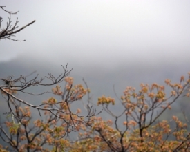 Nova frente fria deve mudar o clima a partir desta quarta-feira em todo o estado  | A Voz da Serra